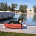 Carica l'immagine nel visualizzatore della galleria, LAZY Salottino Outdoor per Gatti e Cani