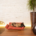 Carica l'immagine nel visualizzatore della galleria, LAZY Salottino Outdoor per Gatti e Cani