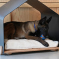 Carica l'immagine nel visualizzatore della galleria, CAMPERO Cuccia da Interno