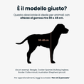 Carica l'immagine nel visualizzatore della galleria, BILL LUX Medium | Alzaciotole in Acciaio Inox Lucido