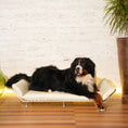 Carica l'immagine nel visualizzatore della galleria, LAZY | Salottino outdoor per Cani e Gatti