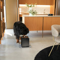 Load image into Gallery viewer, BILL PURO Dog Bowl Lifter
