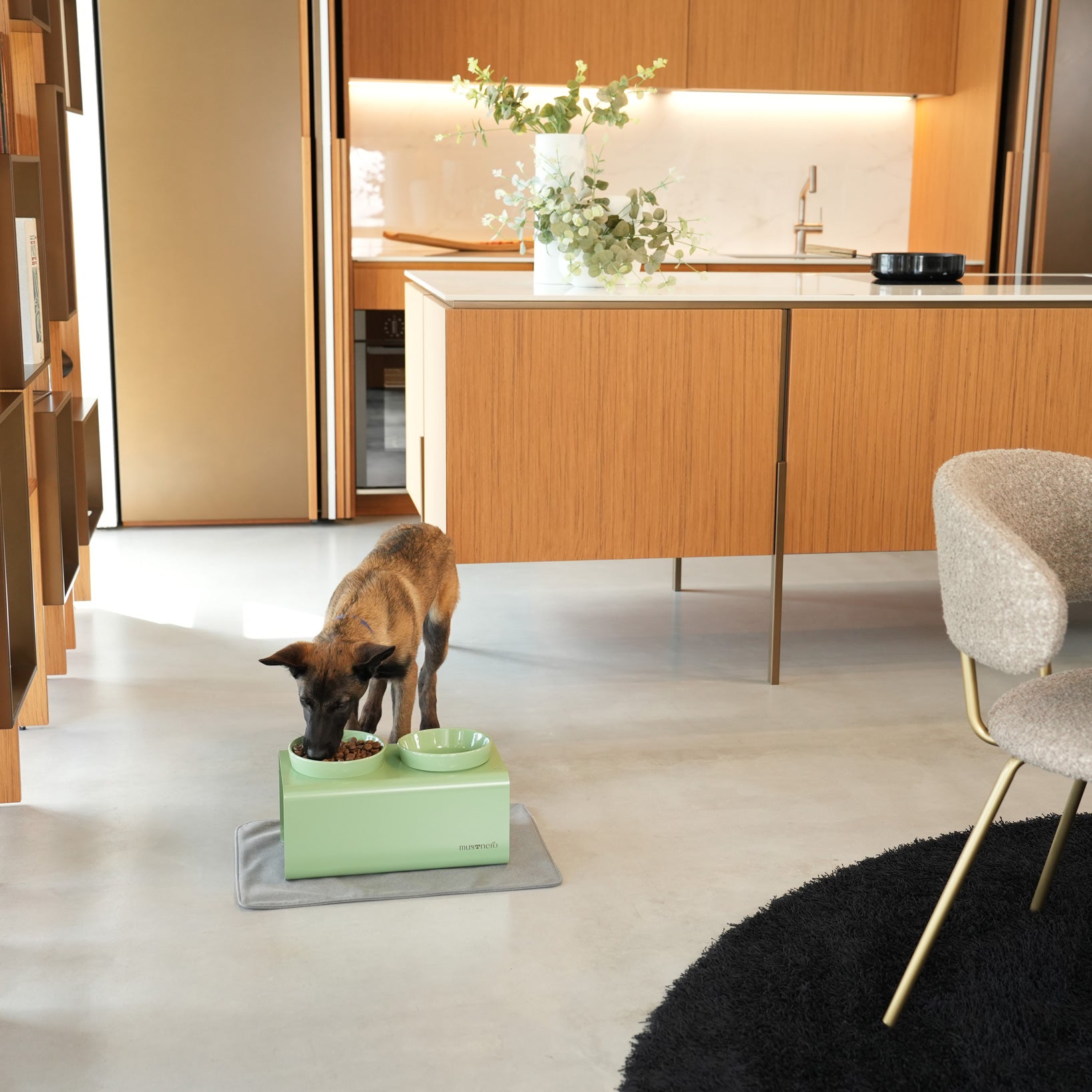 EASY Bowl Lifters for Cats and Dogs