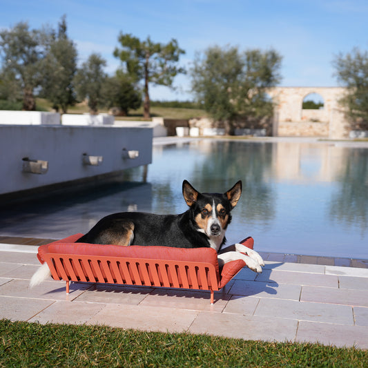 LAZY Salottino Outdoor per Gatti e Cani