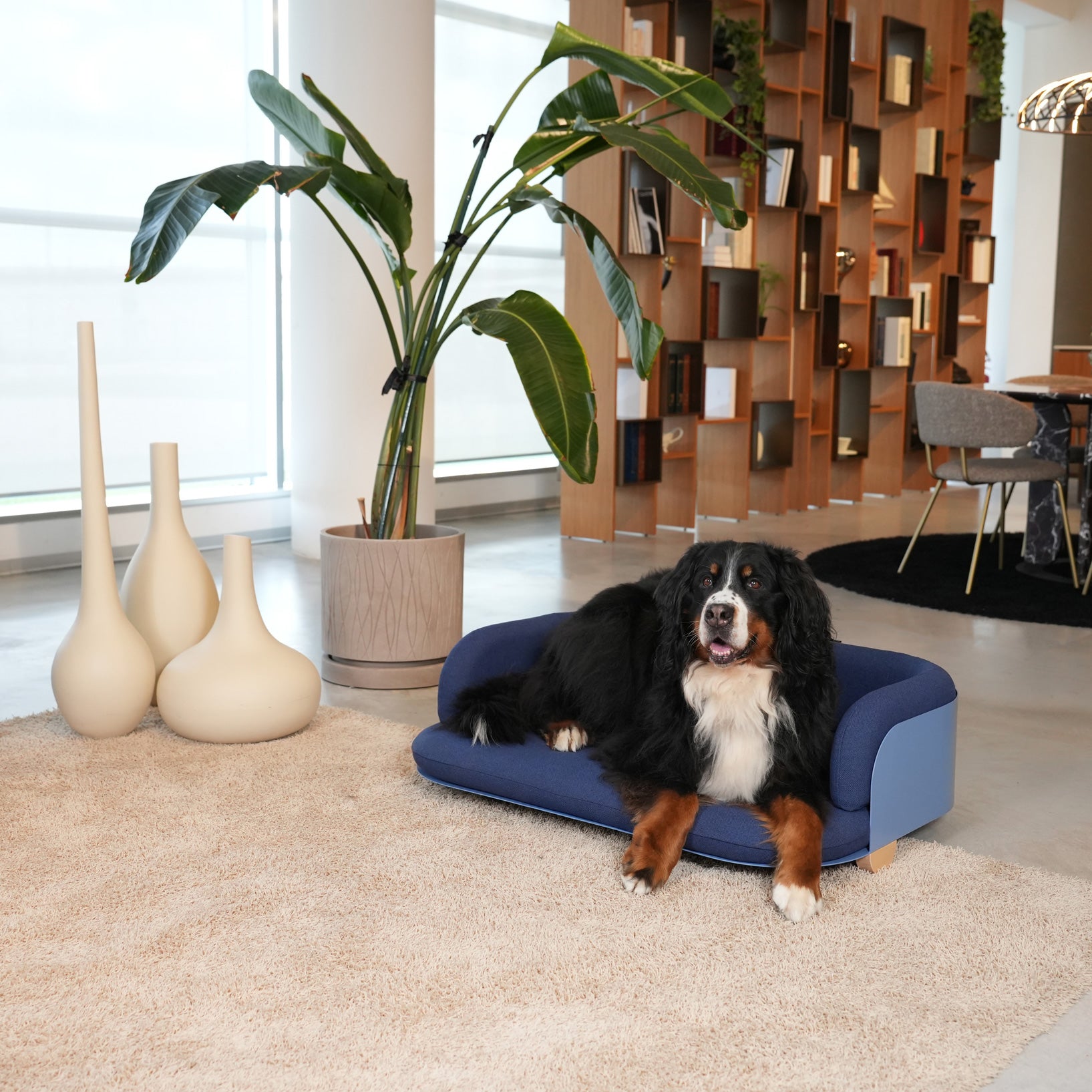 COZY Salottino Indoor per Gatti e Cani
