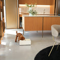 Load image into Gallery viewer, BILL PURO Dog Bowl Lifter
