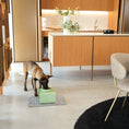 Load image into Gallery viewer, EASY Bowl Lifters for Cats and Dogs
