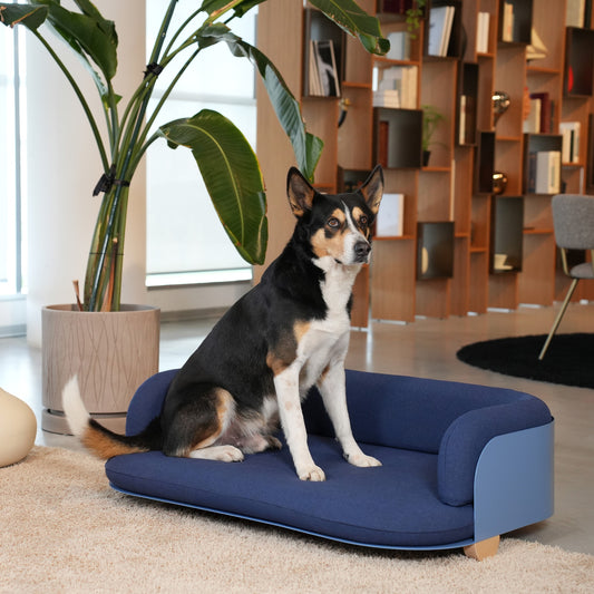 COZY Salottino Indoor per Gatti e Cani