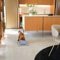 Load image into Gallery viewer, EASY Bowl Lifters for Cats and Dogs
