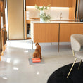 Load image into Gallery viewer, EASY Bowl Lifters for Cats and Dogs
