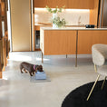 Load image into Gallery viewer, EASY Bowl Lifters for Cats and Dogs
