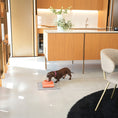 Load image into Gallery viewer, EASY Bowl Lifters for Cats and Dogs
