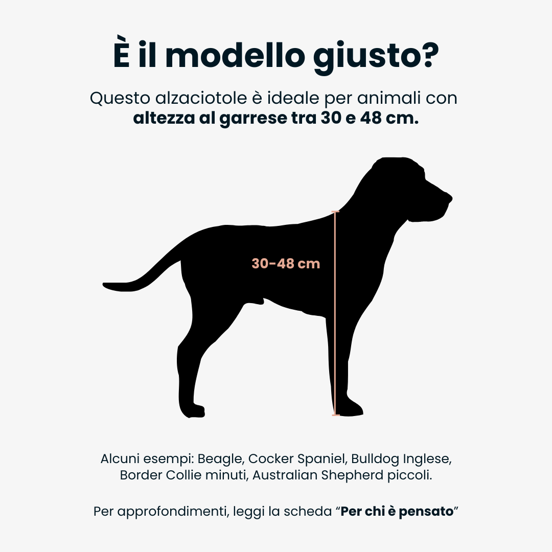 BILL LUX Medium | Alzaciotole in Acciaio Inox Lucido