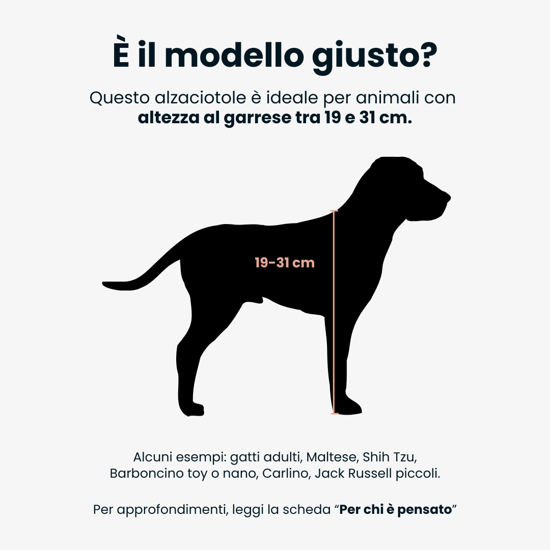 BILL Small | Alzaciotole Doppio in Legno e Acciaio inox
