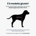 Carica l'immagine nel visualizzatore della galleria, EASY Double Large | Alzaciotole Doppio in Acciaio inox
