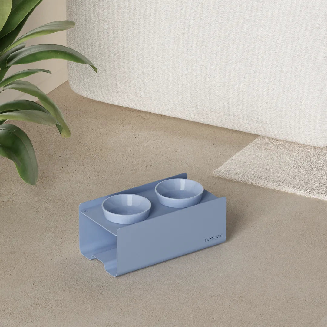 Kit Small Blu Colomba - Alzaciotole BILL Puro Small + Ciotole POP in Maiolica