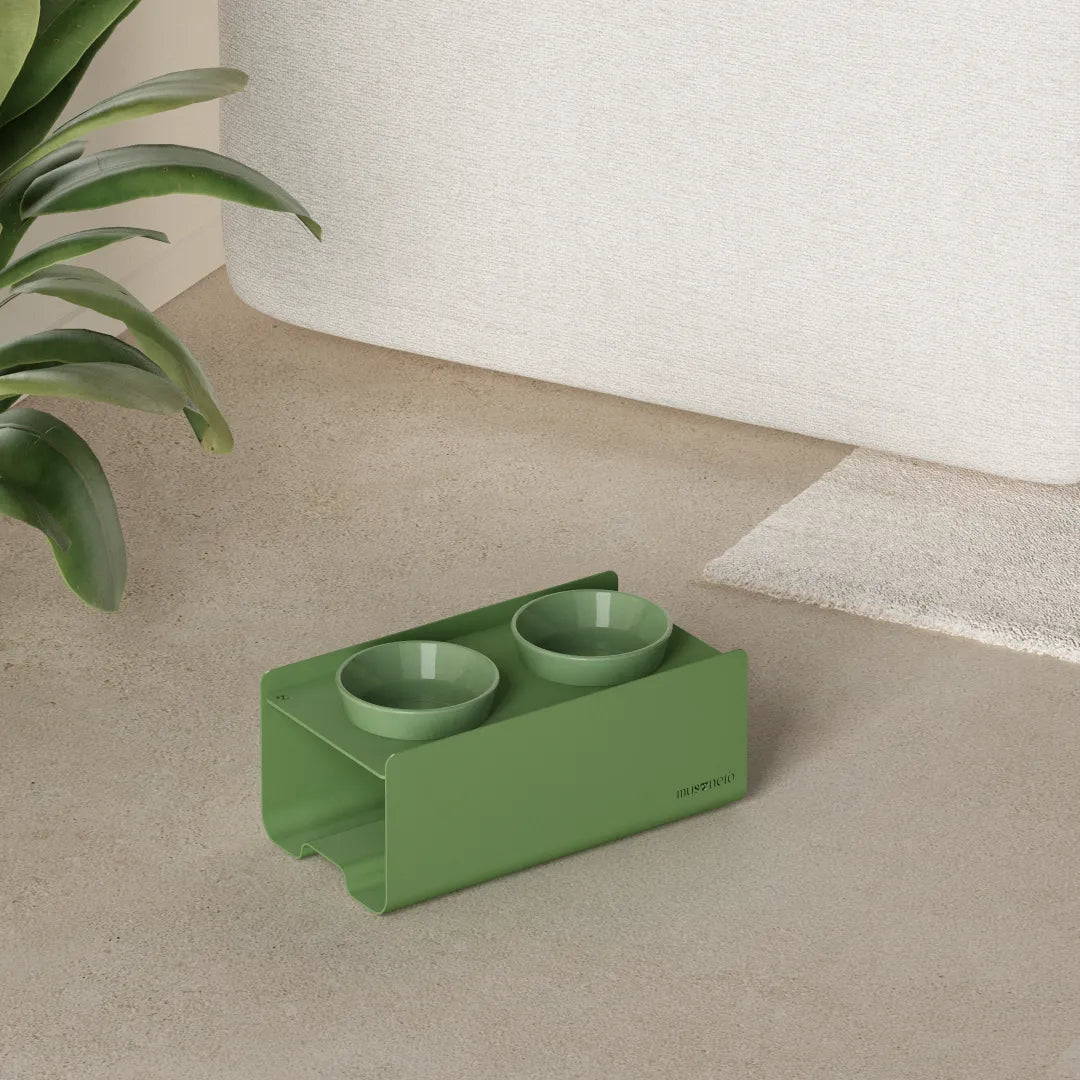Kit Small Verde Pallido - Alzaciotole BILL Puro Small + Ciotole POP in Maiolica