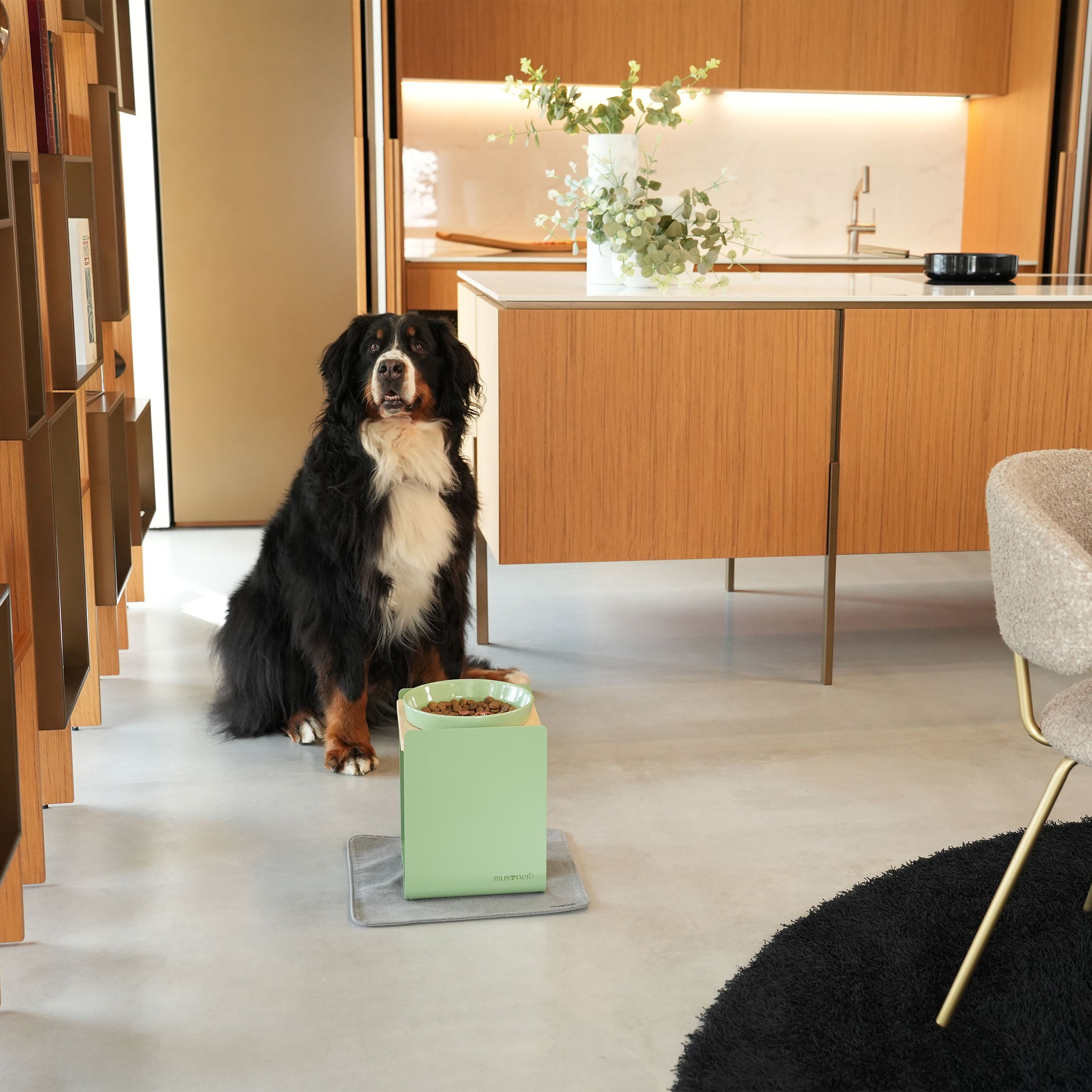 BILL Large | Alzaciotole Singolo in Legno e Acciaio Inox