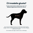 Carica l'immagine nel visualizzatore della galleria, EASY Double Medium | Alzaciotole Doppio in Acciaio inox
