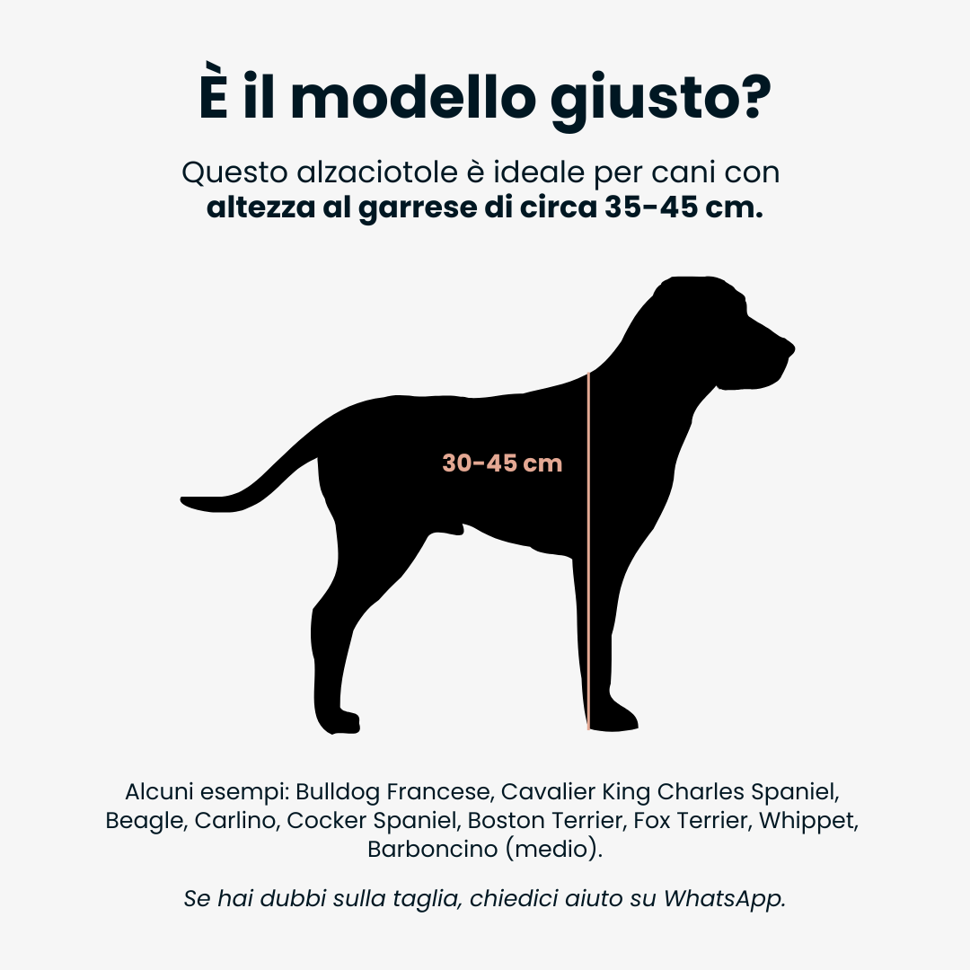 EASY Double Medium | Alzaciotole Doppio in Acciaio inox